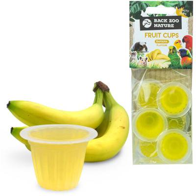 Jelly pot friandises fruitées pour insectes et reptiles frugivores - BackZoo nature