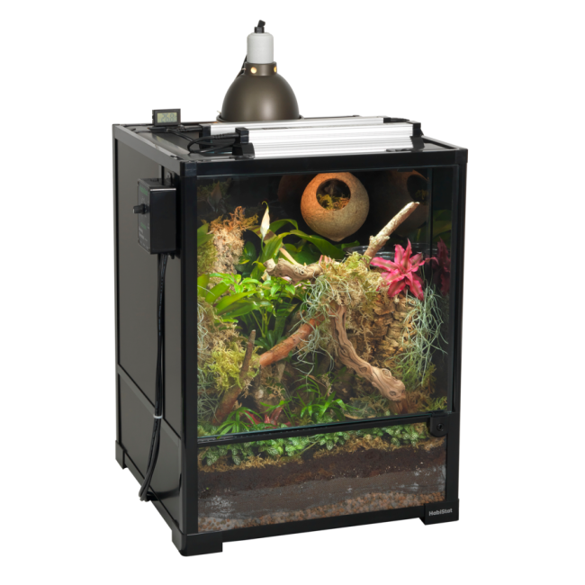 Acheter votre chauffage de qualité pour votre terrarium reptile.