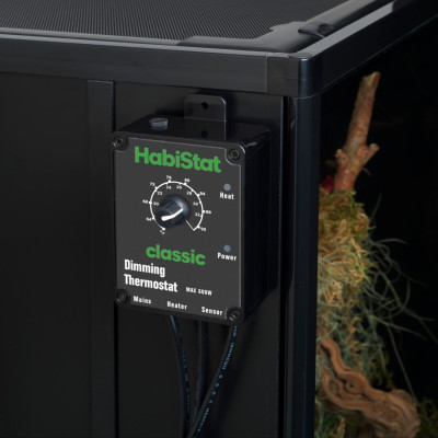 Reptile Systems Thermostat für Terrarien 500W