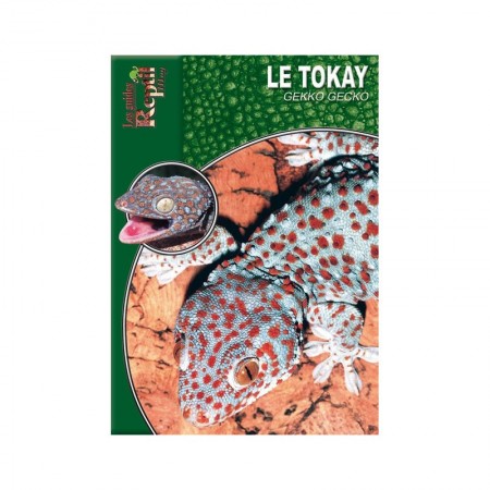 Livre Le Tokay Gekko gekko- Animalia éditions