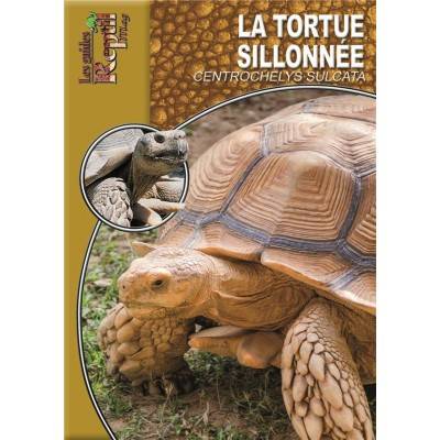 Livre La tortue sillonnée "Centrochelys sulcata"- animalia éditions