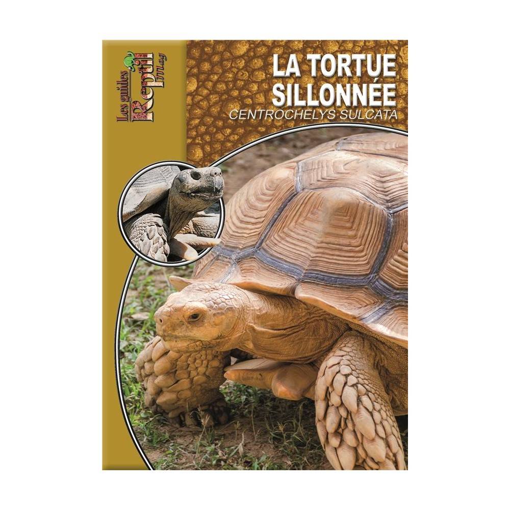 Livre La tortue sillonnée "Centrochelys sulcata"- animalia éditions