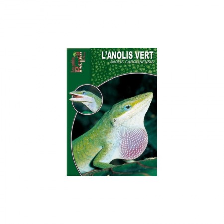 Livre L'anolis vert "Anolis carolinensis"- Animalia éditions