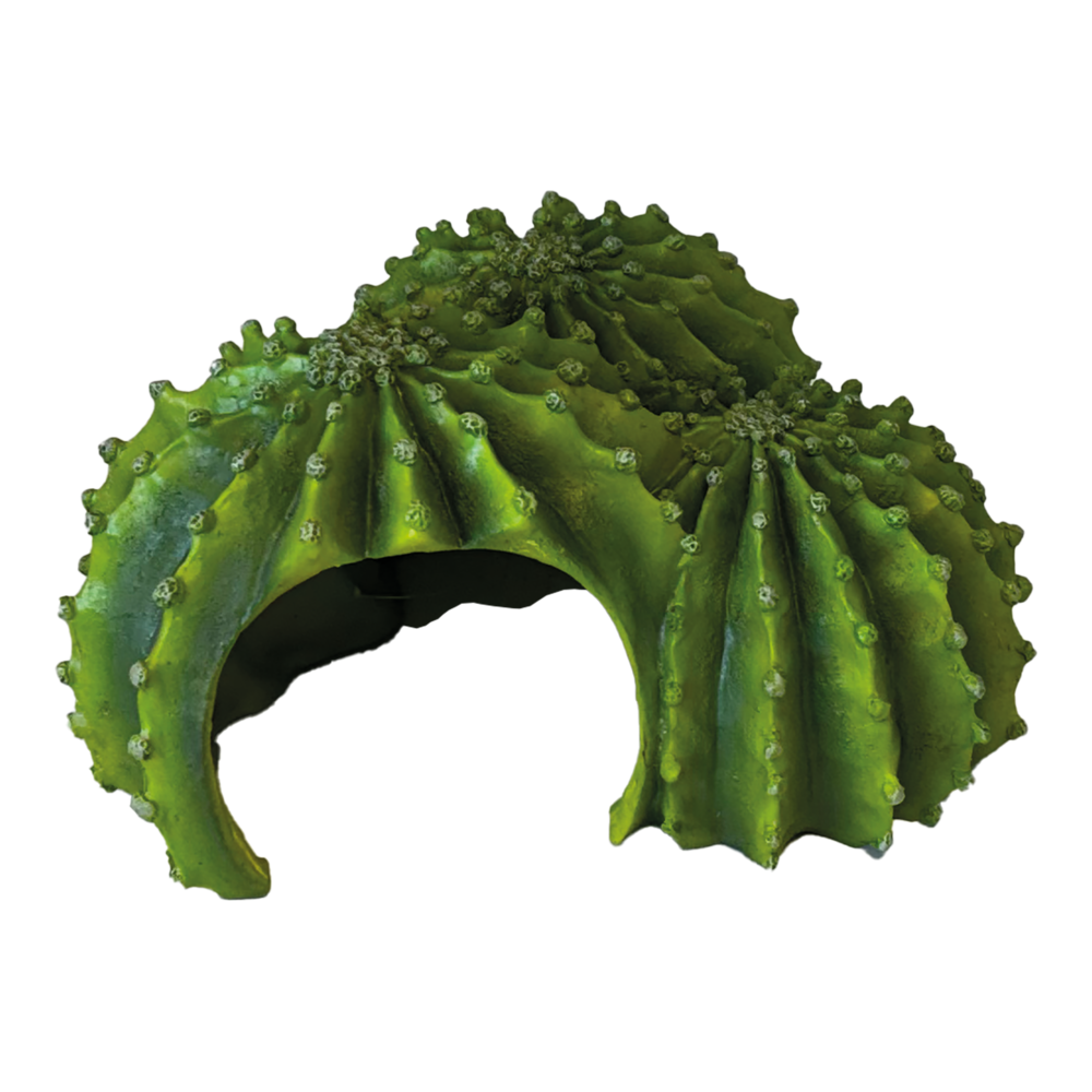 Cachette cactus Triple Repto Deco