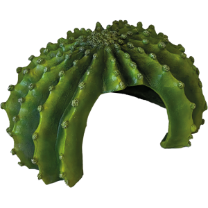 Cachette cactus XL Repto Deco