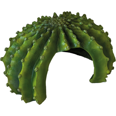 Cachette cactus XL Repto Deco