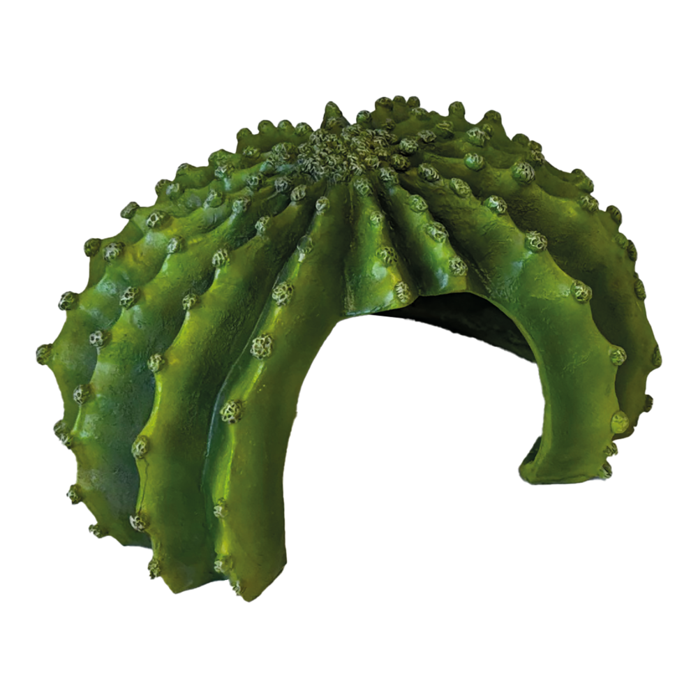 Cachette cactus XL Repto Deco