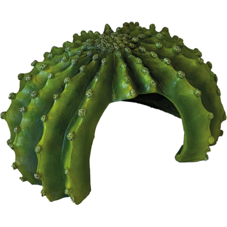 Cachette cactus XL Repto Deco