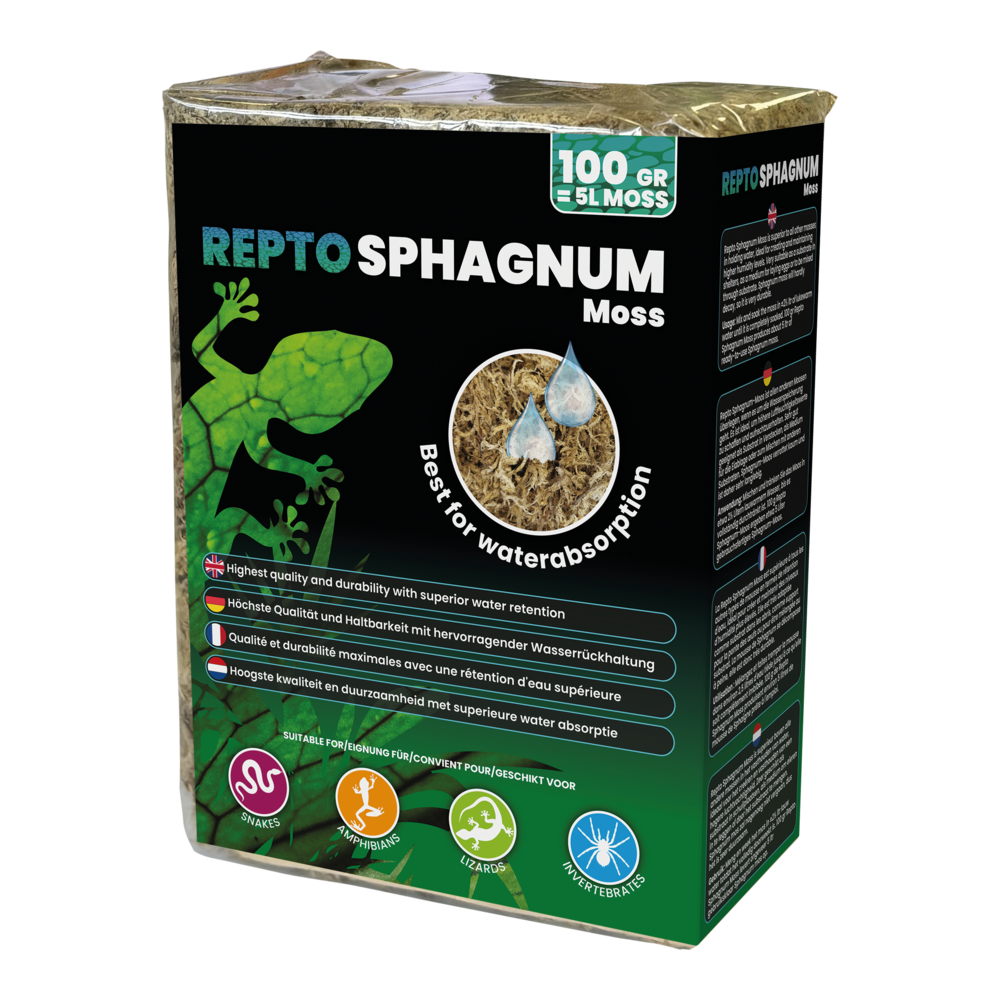 Sphaigne Repto Deco