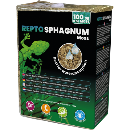 Sphaigne Repto Deco