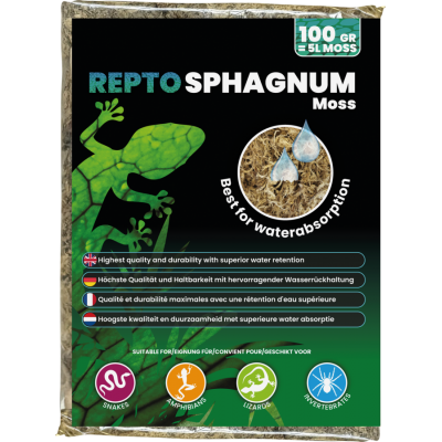 Sphaigne Repto Deco