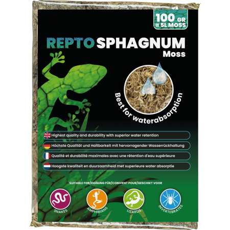 Sphaigne Repto Deco