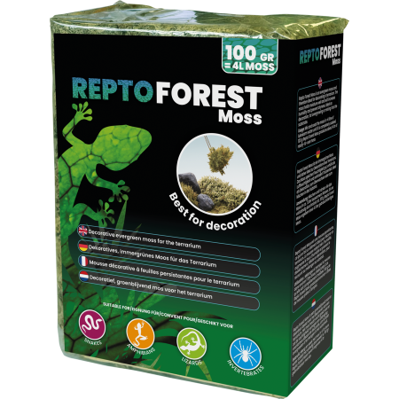 Mousse de forêt naturelle Repto Deco Forest Moss