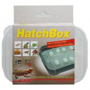 Boite d'incubation "HatchBox" - Lucky Reptile