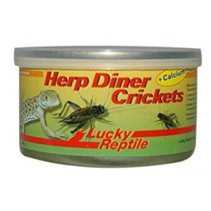 Grillons en boîte de conserve "HerpDiner Crickets" LUCKY REPTILE