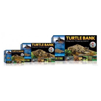 Turtle bank - Plage pour tortue aquatique