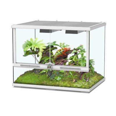 QOTSTEOS Reptiles Terrarium Grand humidificateur de terrarium avec tuyau  pour reptiles, amphibiens, herpès, vivarium : : Animalerie