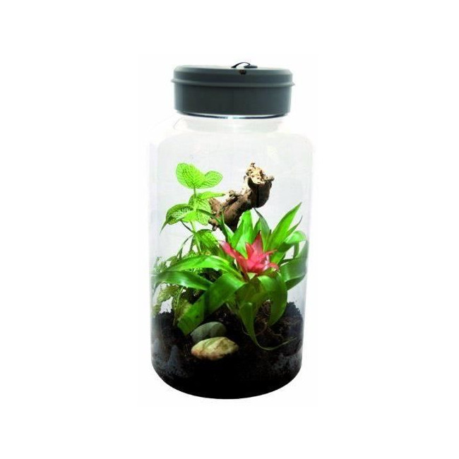 Nano terrarium "Insect Tarrium Lucky Reptile"