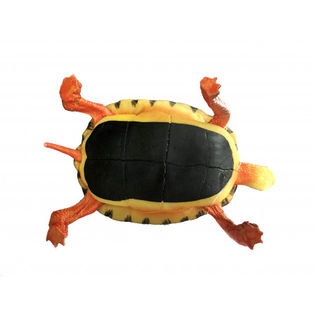 Figurine tortue aquatique - Terratlantis