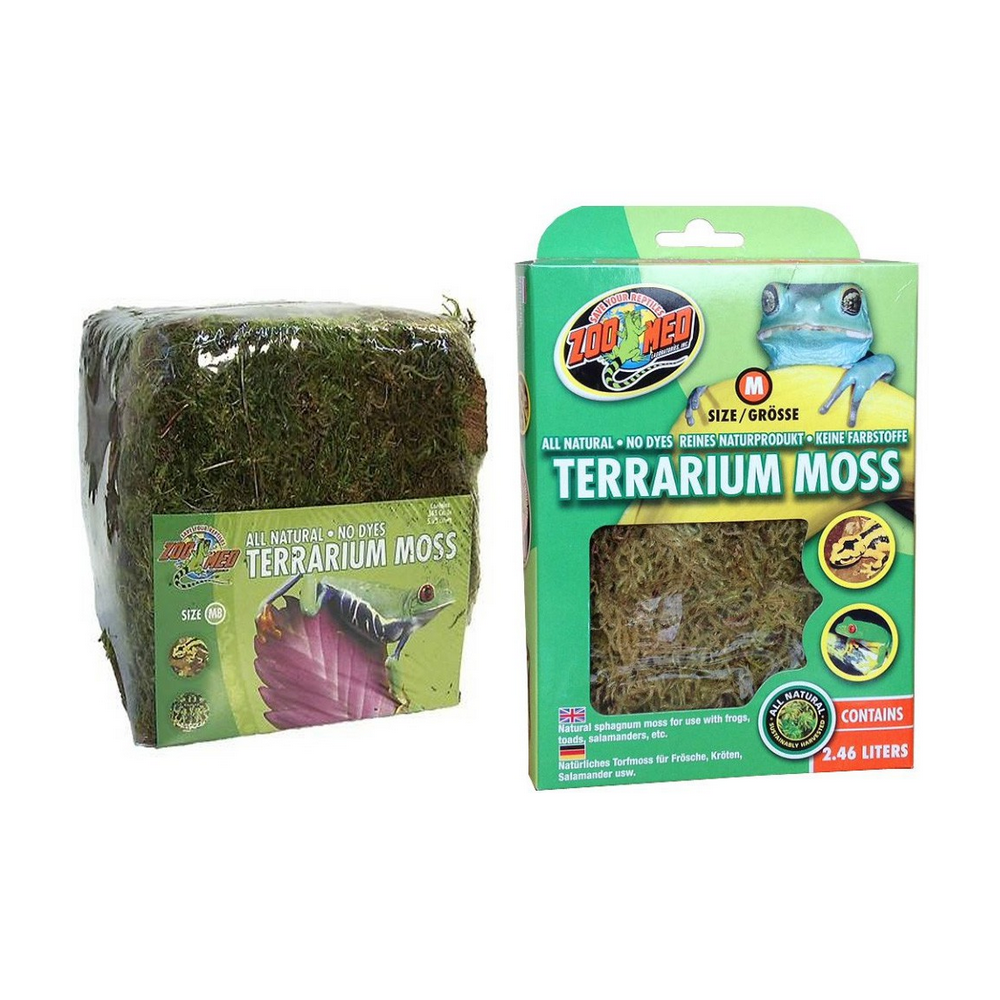Natural Moss Terrariums : Petite Foret Plus