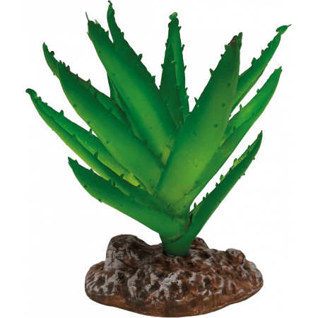 Aloe vera "Repto plant" - Habistat