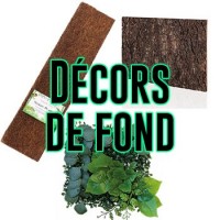 Décors de fond - Bebesaurus