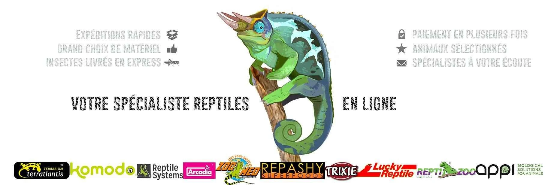 Votre spécialiste reptiles
